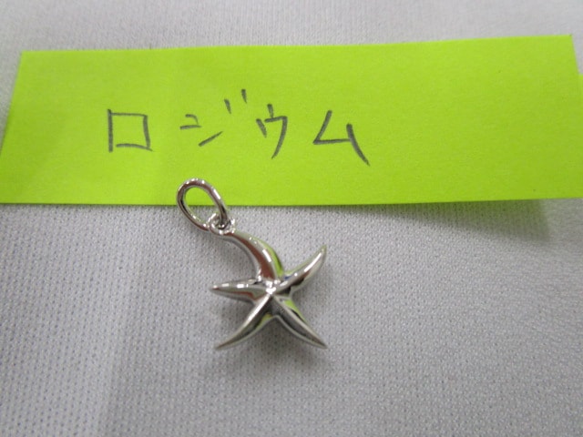 ﾋﾄﾃﾞ型ﾛｼﾞｳﾑ-min