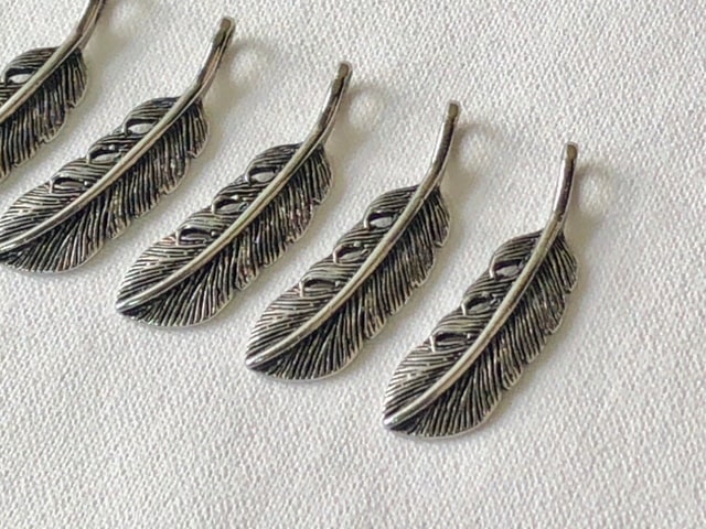 ｷｬｽﾄﾌｪｻﾞｰ左黒ｽﾐ入-min