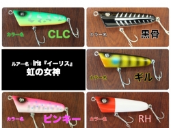 柏木氏コラボルアー　Iris『イーリス』